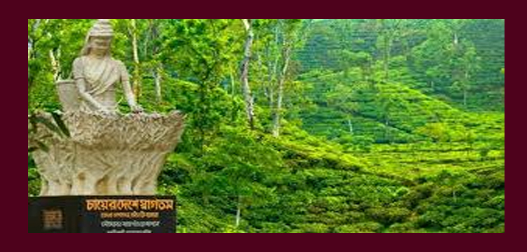 প্রধান উপদেষ্টা পদত্যাগ করবেন না: ফাইজ তাইয়েব আহমেদ