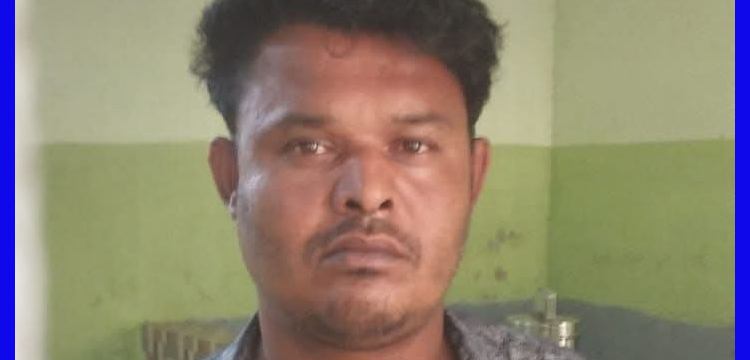 প্রধান উপদেষ্টা পদত্যাগ করবেন না: ফাইজ তাইয়েব আহমেদ