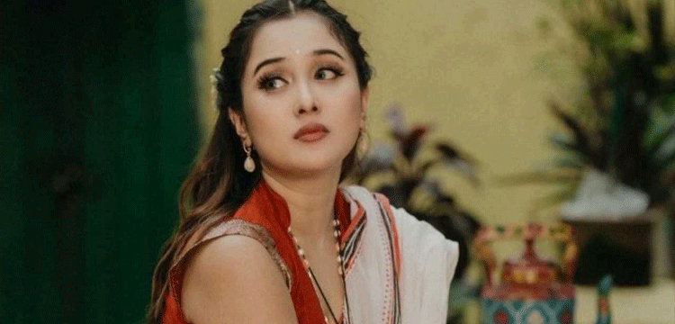 প্রধান উপদেষ্টা পদত্যাগ করবেন না: ফাইজ তাইয়েব আহমেদ