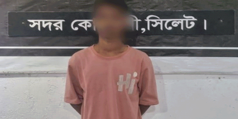 প্রধান উপদেষ্টা পদত্যাগ করবেন না: ফাইজ তাইয়েব আহমেদ