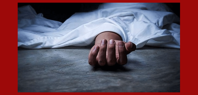 প্রধান উপদেষ্টা পদত্যাগ করবেন না: ফাইজ তাইয়েব আহমেদ