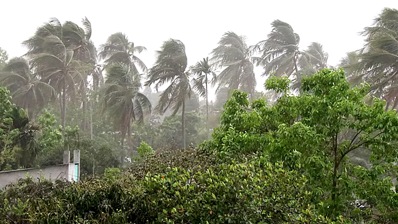 প্রধান উপদেষ্টা পদত্যাগ করবেন না: ফাইজ তাইয়েব আহমেদ