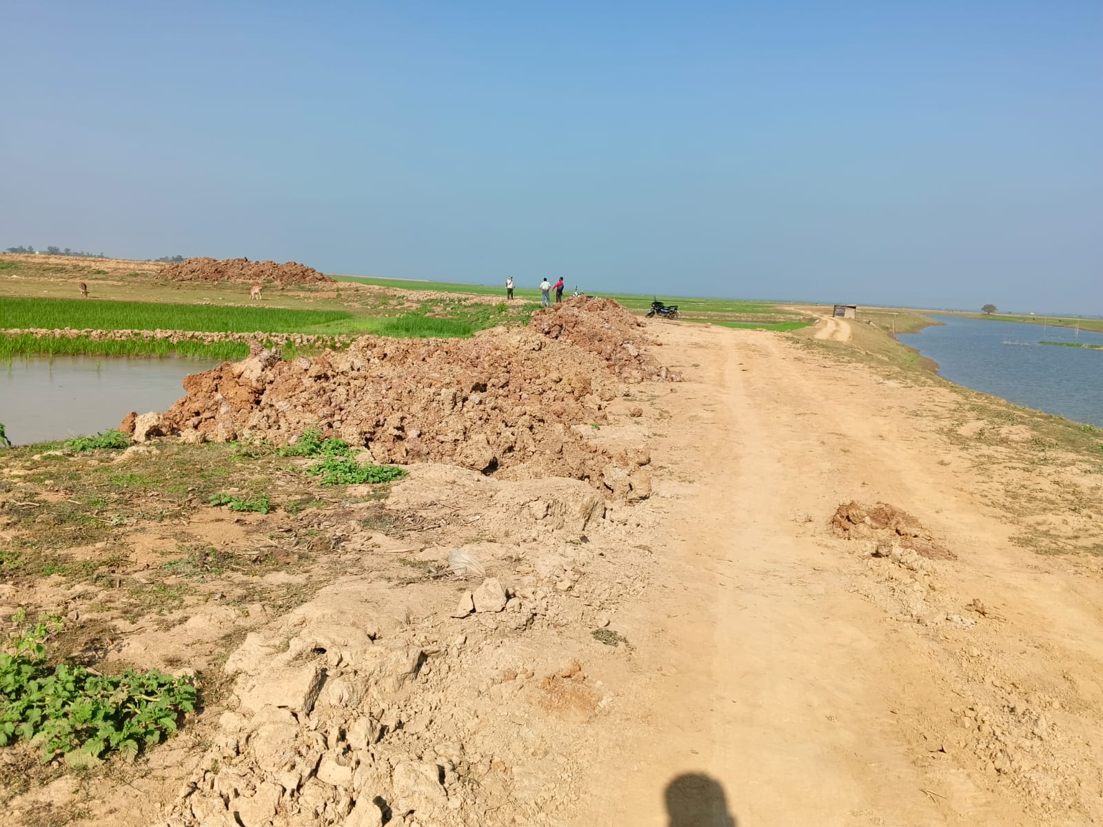 প্রধান উপদেষ্টা পদত্যাগ করবেন না: ফাইজ তাইয়েব আহমেদ