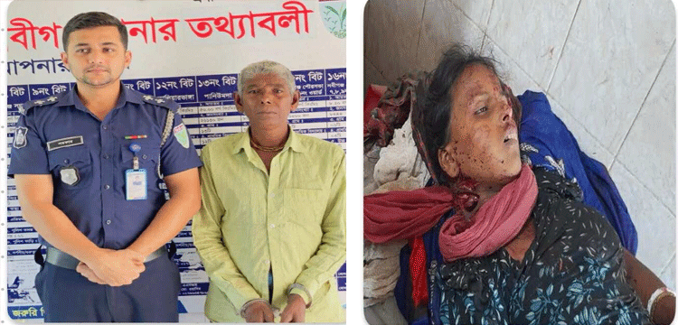 প্রধান উপদেষ্টা পদত্যাগ করবেন না: ফাইজ তাইয়েব আহমেদ