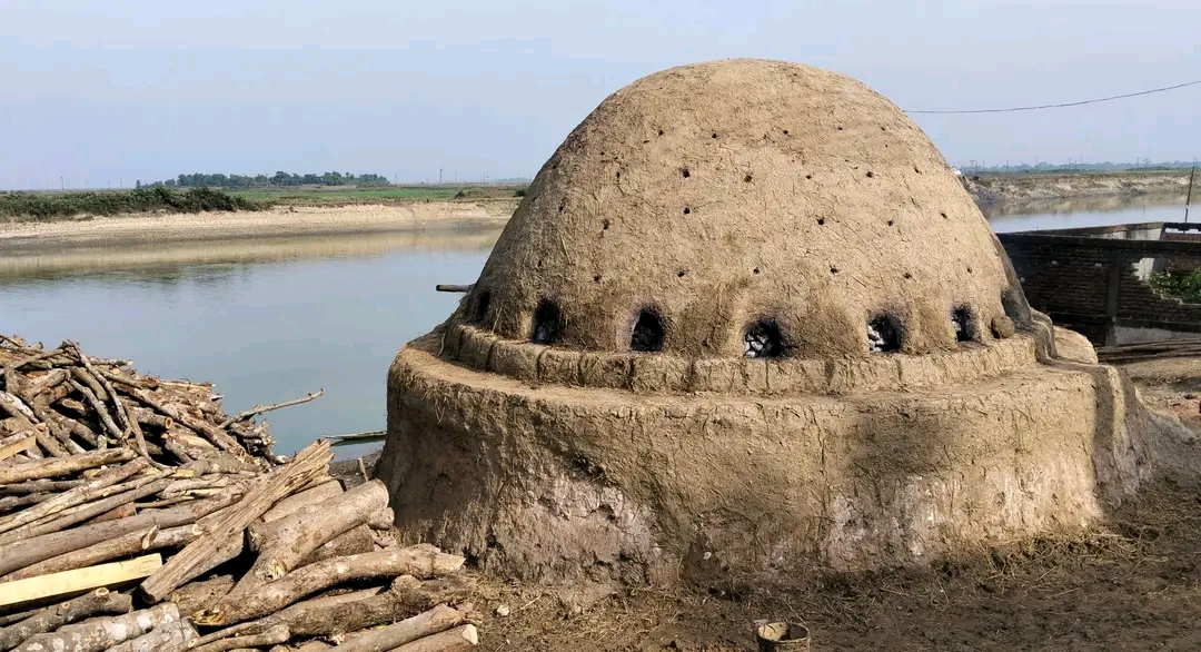 প্রধান উপদেষ্টা পদত্যাগ করবেন না: ফাইজ তাইয়েব আহমেদ