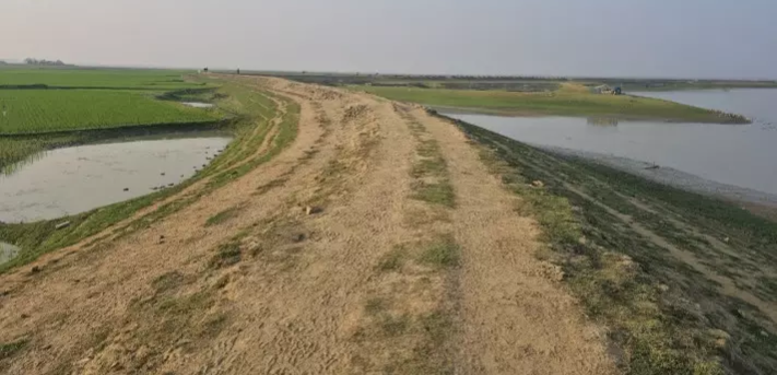 প্রধান উপদেষ্টা পদত্যাগ করবেন না: ফাইজ তাইয়েব আহমেদ