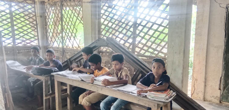 প্রধান উপদেষ্টা পদত্যাগ করবেন না: ফাইজ তাইয়েব আহমেদ