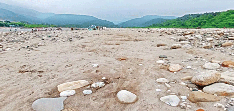 প্রধান উপদেষ্টা পদত্যাগ করবেন না: ফাইজ তাইয়েব আহমেদ