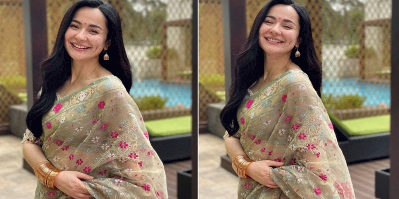 প্রধান উপদেষ্টা পদত্যাগ করবেন না: ফাইজ তাইয়েব আহমেদ