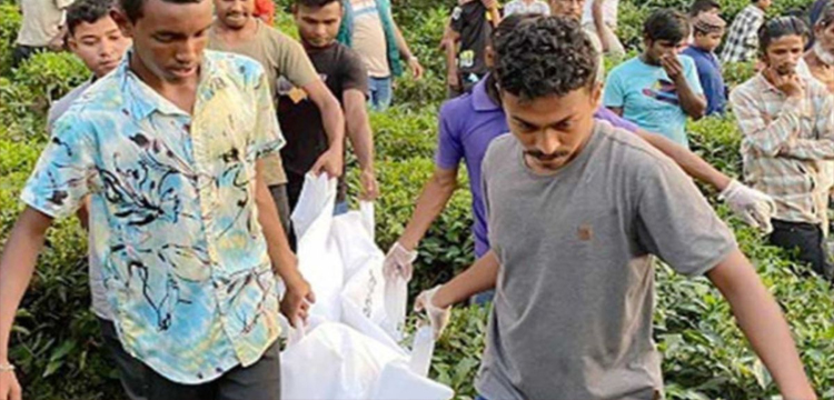 প্রধান উপদেষ্টা পদত্যাগ করবেন না: ফাইজ তাইয়েব আহমেদ