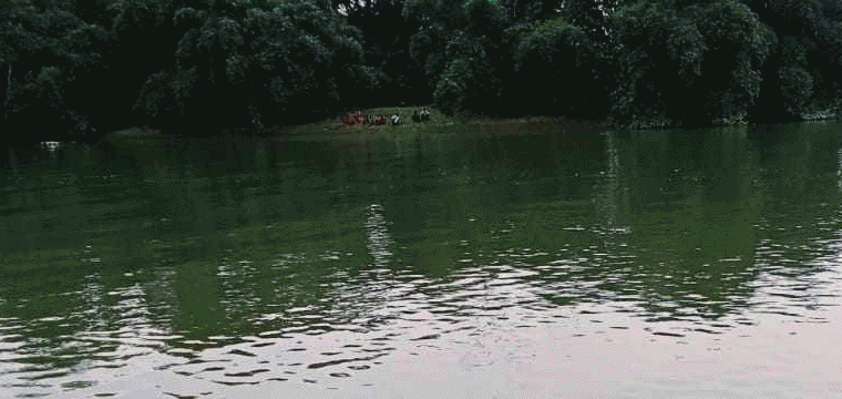 প্রধান উপদেষ্টা পদত্যাগ করবেন না: ফাইজ তাইয়েব আহমেদ