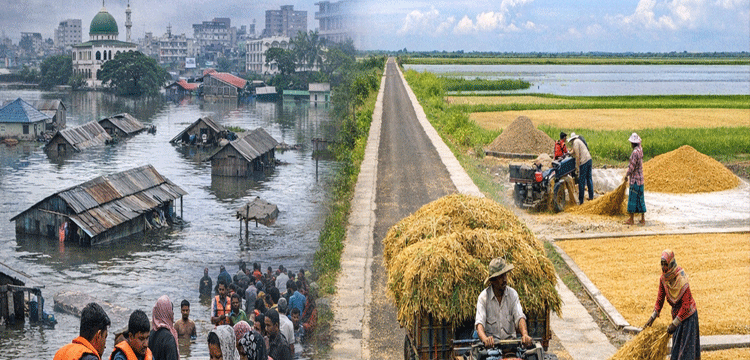 প্রধান উপদেষ্টা পদত্যাগ করবেন না: ফাইজ তাইয়েব আহমেদ