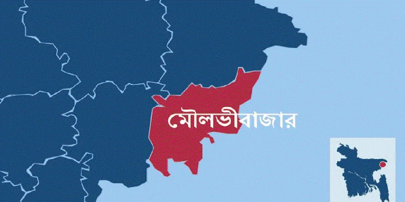 প্রধান উপদেষ্টা পদত্যাগ করবেন না: ফাইজ তাইয়েব আহমেদ