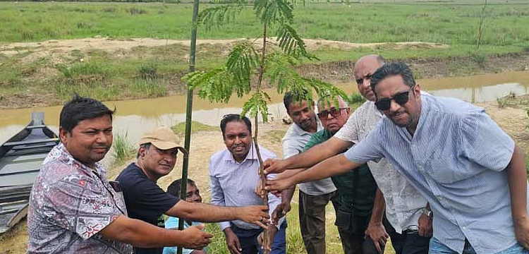 প্রধান উপদেষ্টা পদত্যাগ করবেন না: ফাইজ তাইয়েব আহমেদ