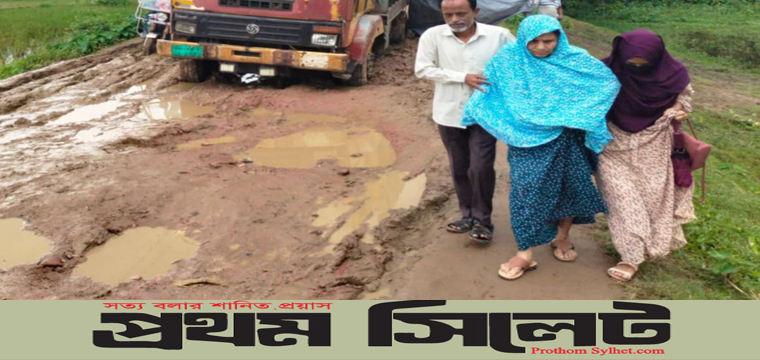 প্রধান উপদেষ্টা পদত্যাগ করবেন না: ফাইজ তাইয়েব আহমেদ