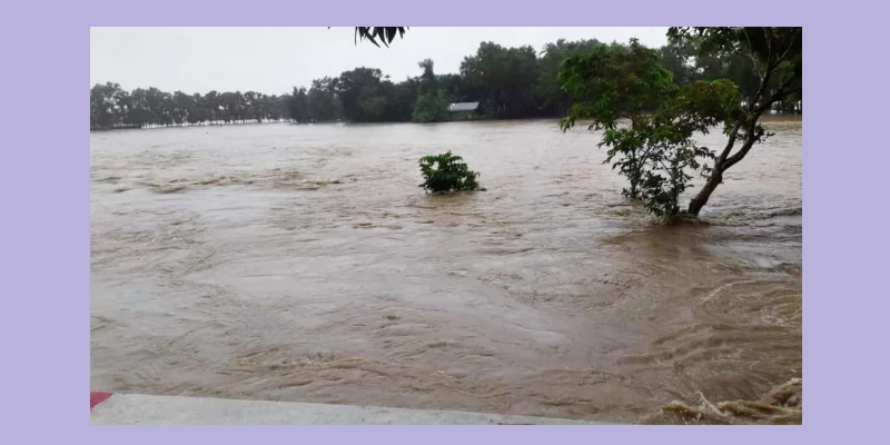 প্রধান উপদেষ্টা পদত্যাগ করবেন না: ফাইজ তাইয়েব আহমেদ