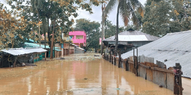 প্রধান উপদেষ্টা পদত্যাগ করবেন না: ফাইজ তাইয়েব আহমেদ
