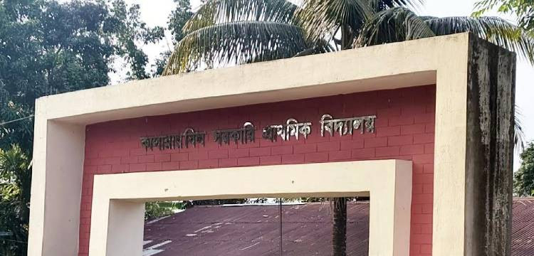 প্রধান উপদেষ্টা পদত্যাগ করবেন না: ফাইজ তাইয়েব আহমেদ