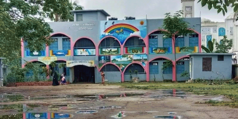 প্রধান উপদেষ্টা পদত্যাগ করবেন না: ফাইজ তাইয়েব আহমেদ