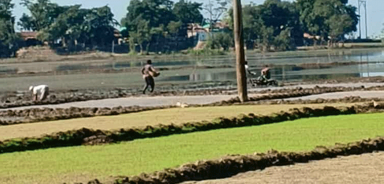 প্রধান উপদেষ্টা পদত্যাগ করবেন না: ফাইজ তাইয়েব আহমেদ