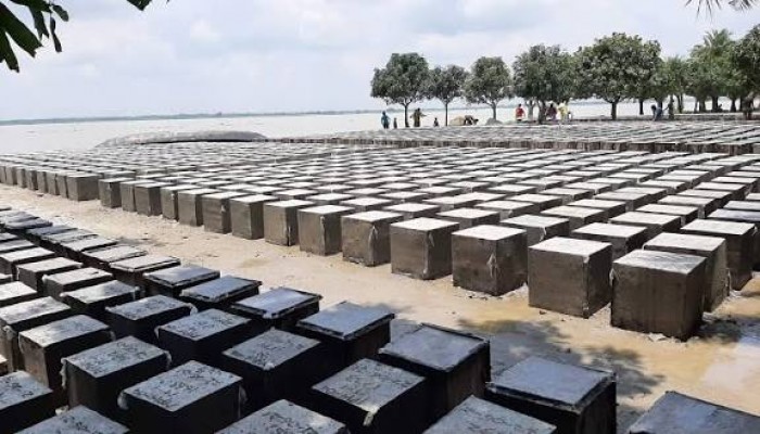প্রধান উপদেষ্টা পদত্যাগ করবেন না: ফাইজ তাইয়েব আহমেদ