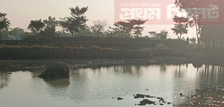 প্রধান উপদেষ্টা পদত্যাগ করবেন না: ফাইজ তাইয়েব আহমেদ