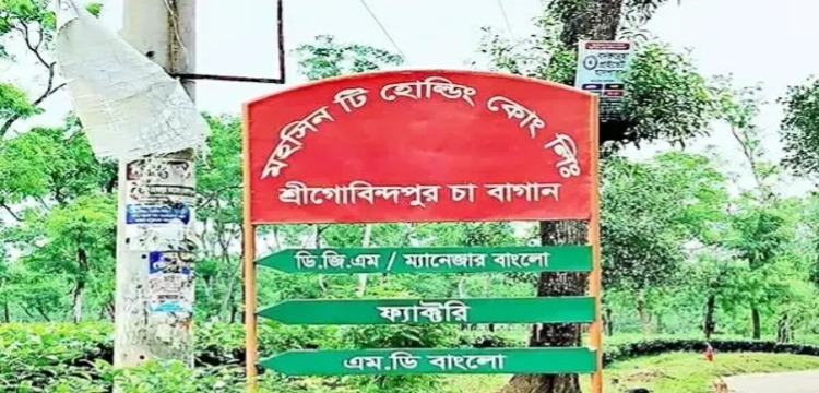 প্রধান উপদেষ্টা পদত্যাগ করবেন না: ফাইজ তাইয়েব আহমেদ