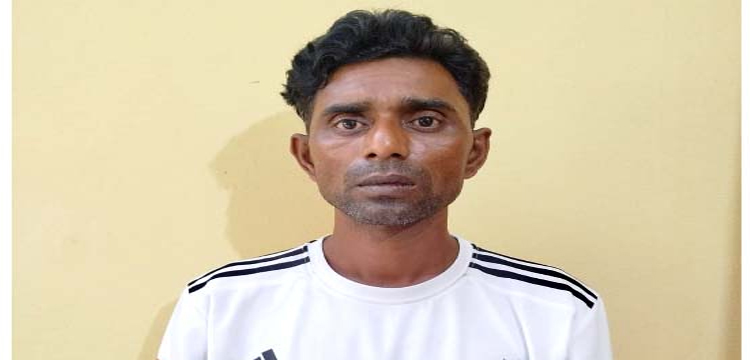 প্রধান উপদেষ্টা পদত্যাগ করবেন না: ফাইজ তাইয়েব আহমেদ