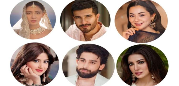 প্রধান উপদেষ্টা পদত্যাগ করবেন না: ফাইজ তাইয়েব আহমেদ