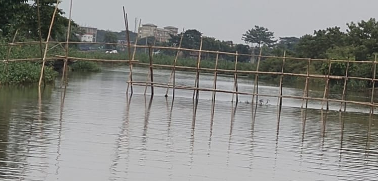 প্রধান উপদেষ্টা পদত্যাগ করবেন না: ফাইজ তাইয়েব আহমেদ