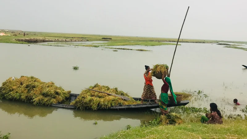 প্রধান উপদেষ্টা পদত্যাগ করবেন না: ফাইজ তাইয়েব আহমেদ