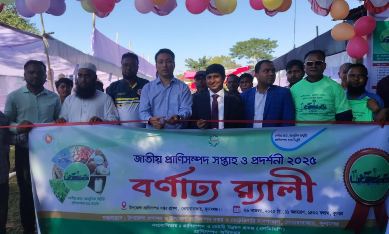 প্রধান উপদেষ্টা পদত্যাগ করবেন না: ফাইজ তাইয়েব আহমেদ