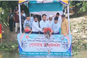 জগন্নাথপুরের হাওর ও জলাশয়ে বিভিন্ন প্রজাতির পোনা মাছ অবমুক্ত করন