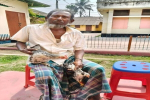 সুনামগঞ্জে বড় ভাইয়ের জিঘাংসার শিকার মোরগ: পা ভাঙা মোরগ নিয়ে থানায় ছোট ভাই