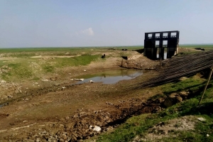 জগন্নাথপুরে হাওর রক্ষার বাঁধের কাজ শুরু না হওয়ায় শঙ্কায় কৃষক