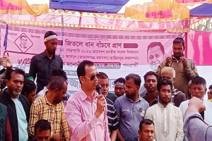সুনামগঞ্জ-১: তাহিরপুরে বিএনপির বিশাল নির্বাচনি সভা, পরিবর্তনের ডাক কামরুলের