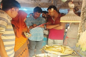 বড়লেখায় বোয়াল মাছের পোনা বিক্রির দায়ে ৬ হাজার টাকা জরিমানা
