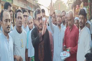 গণতন্ত্র সুসংহত রাখতে বিএনপিকে বিজয়ী করতে হবে