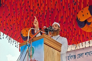 গণভোট অবৈধ হলে বিএনপির সরকারও অবৈধ: হবিগঞ্জে মামুনুল হক