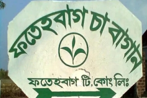 মৌলভীবাজারে চা-শ্রমিকদের বিক্ষোভের মুখে বাগান ছাড়ছেন দুই কর্মকর্তা