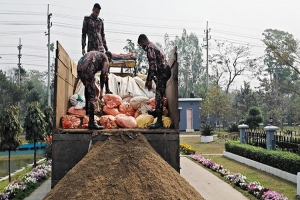 মাধবপুরে ৪০ লাখ টাকার ভারতীয় জিরা জব্দ