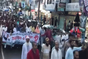 দেশকে অস্থিতিশীল করার প্রতিবাদে বড়লেখায় বিএনপির মিছিল ও সমাবেশ