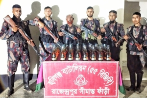 মাধবপুরে ৫টি ভারতীয় গরু ও ৪৮ বোতল মদ জব্দ