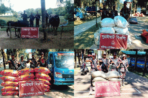 সিলেট সীমান্তে ১৯ বিজিবির অভিযানে ৩৪ লাখ টাকার মালামাল জব্দ