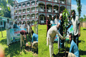 বৃক্ষরোপণের মাধ্যমে নসকসের ৩৬তম প্রতিষ্ঠাবার্ষিকী পালিত