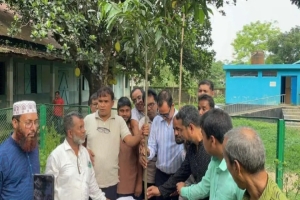 ডা. জোবাইদার জন্মদিনে তাহিরপুরে বৃক্ষরোপণ কর্মসূচি