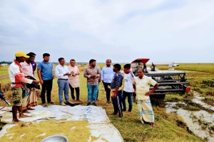 তাহিরপুরে কৃষকদের ধান কর্তন কার্যক্রম পরিদর্শনে ইউএনও