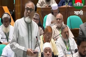 ব্যাংকিং খাত সংকটাপন্ন, অর্থনীতিতে বাড়ছে ঝুঁকি সংসদে মিলন