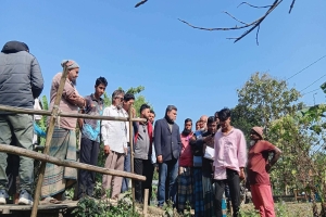 বড়লেখায় নিকড়ি ছড়ার গার্ড ওয়ালের কাজ পরিদর্শনে নাসির উদ্দিন মিঠু