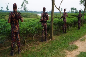 সীমান্তে পুশ-ইন প্রতিরোধে হবিগঞ্জে বিজিবির কড়া নজরদারি